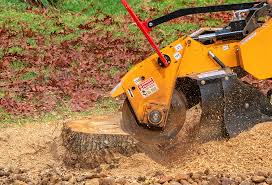 Best Stump Grinding and Removal  in Erie, KS